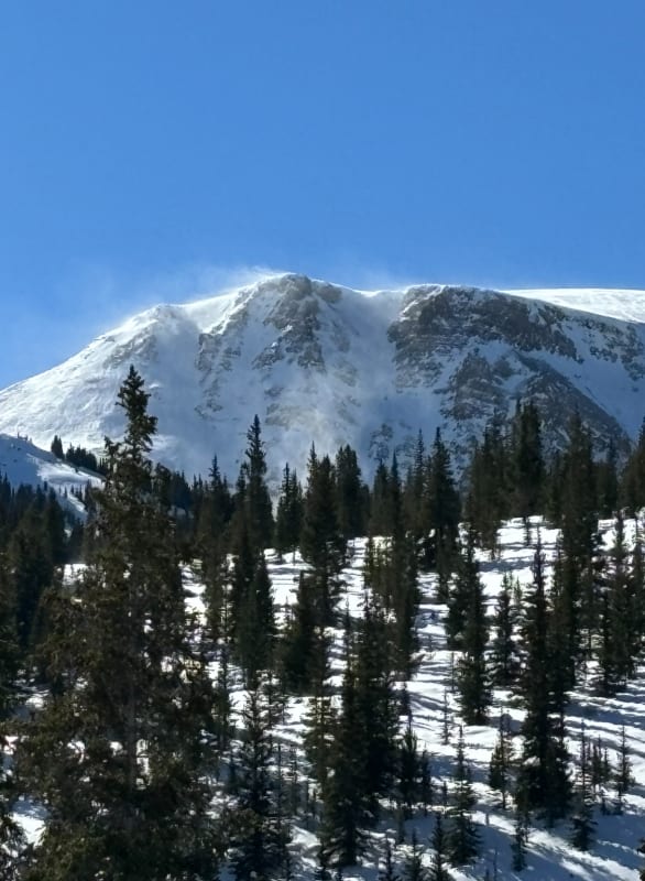 Observation photo 2
