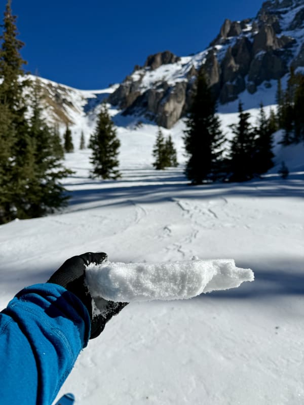 Observation photo 4