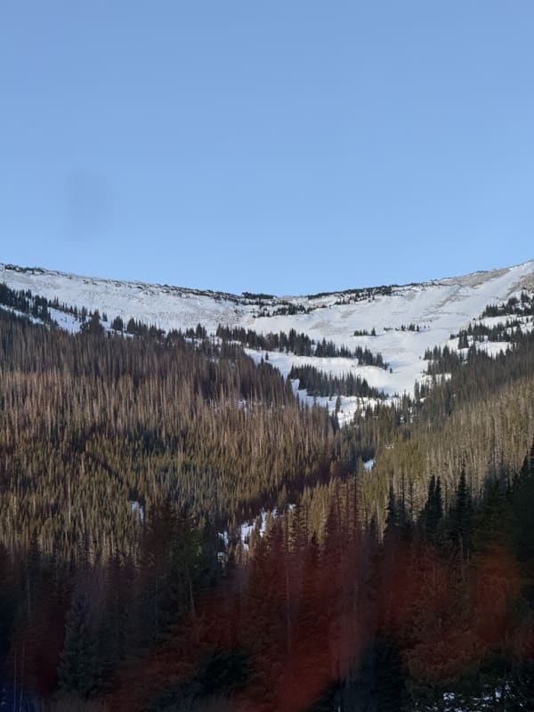 Observation photo 1