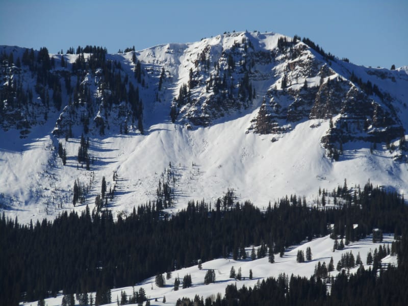 Observation photo 4
