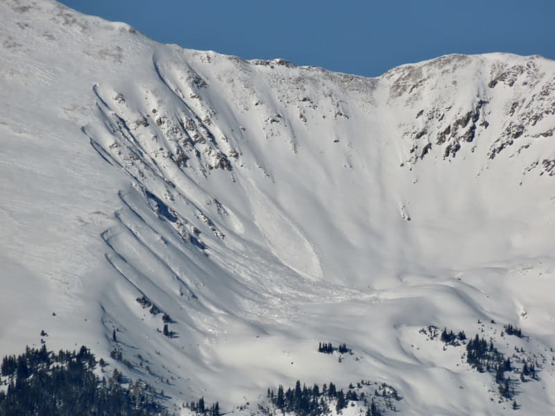 Observation photo 5