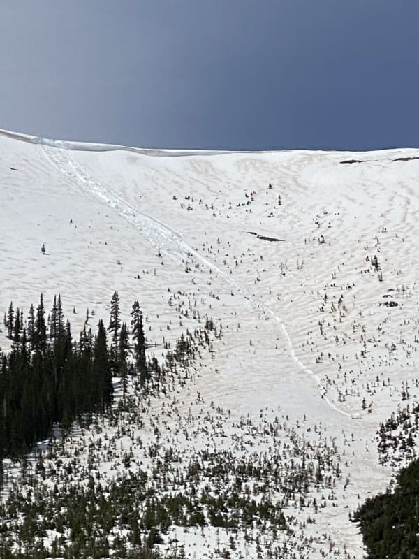 Observation photo 1