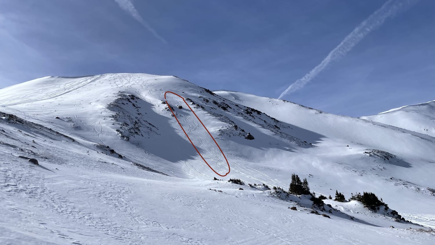 Observation photo