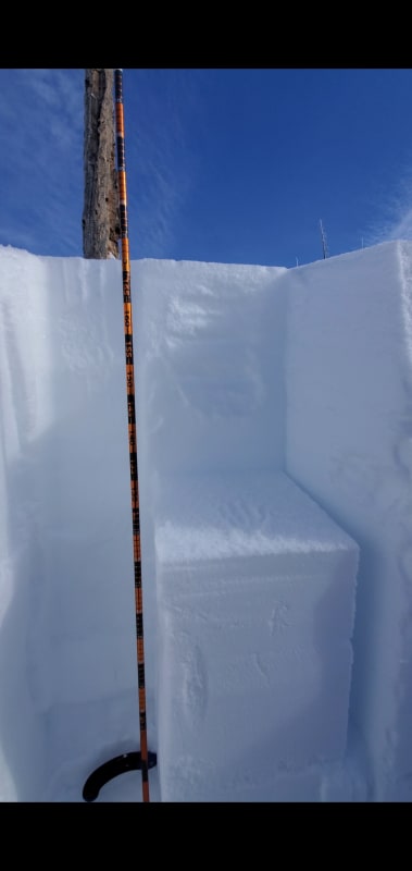 Observation photo 1