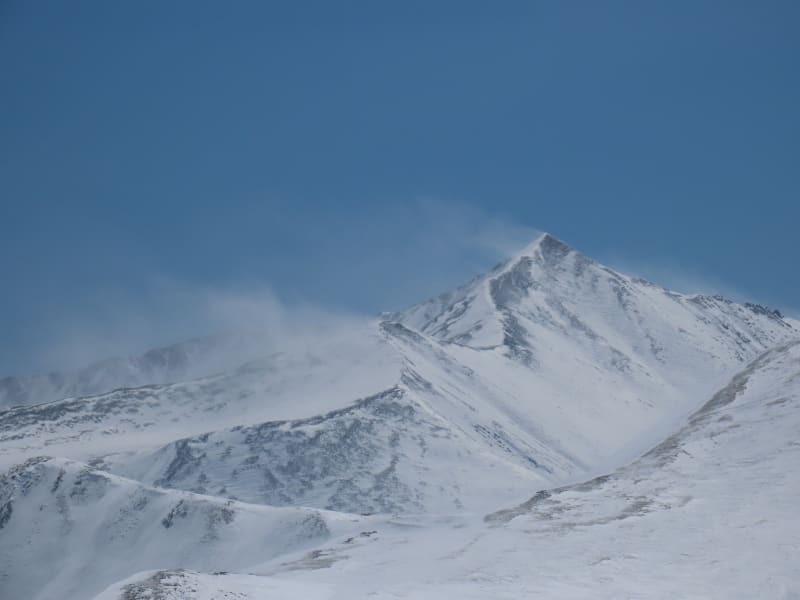 Observation photo 4