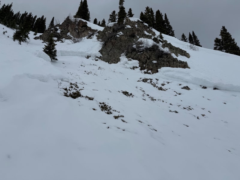 Observation photo 4