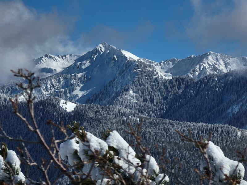 Observation photo 1