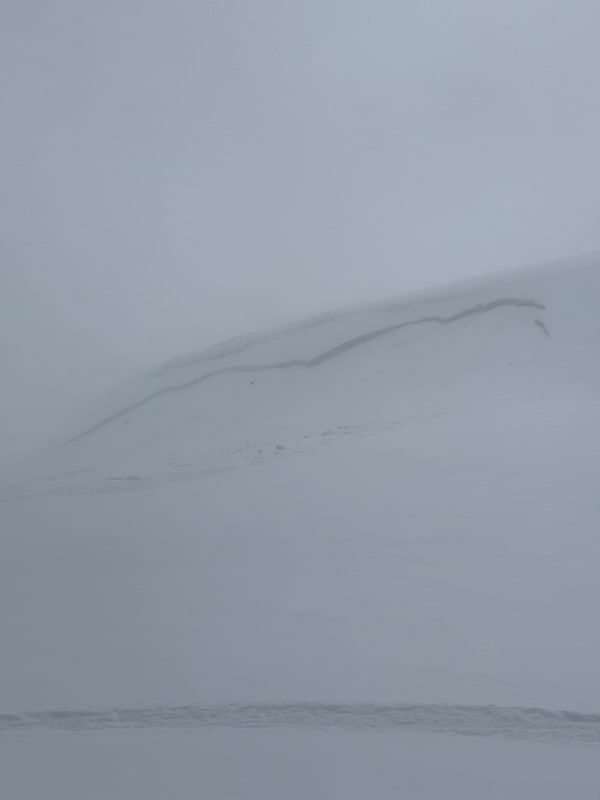 Observation photo 1