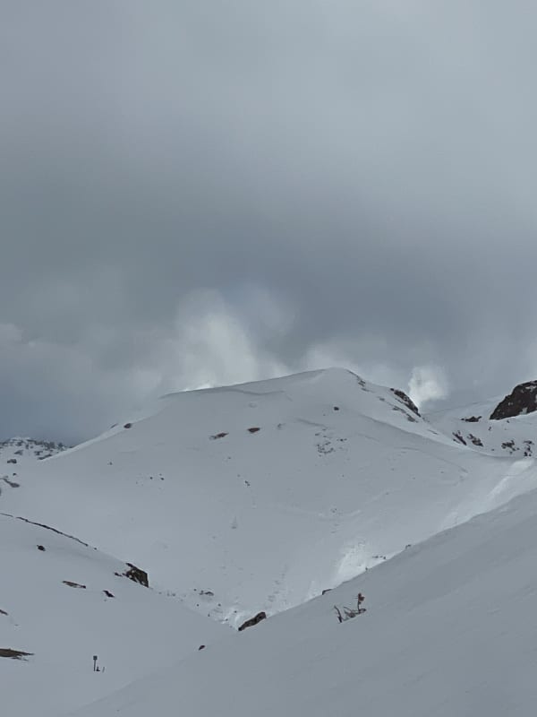 Observation photo 1