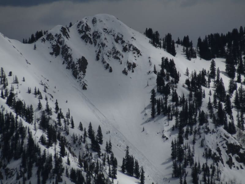 Observation photo 5
