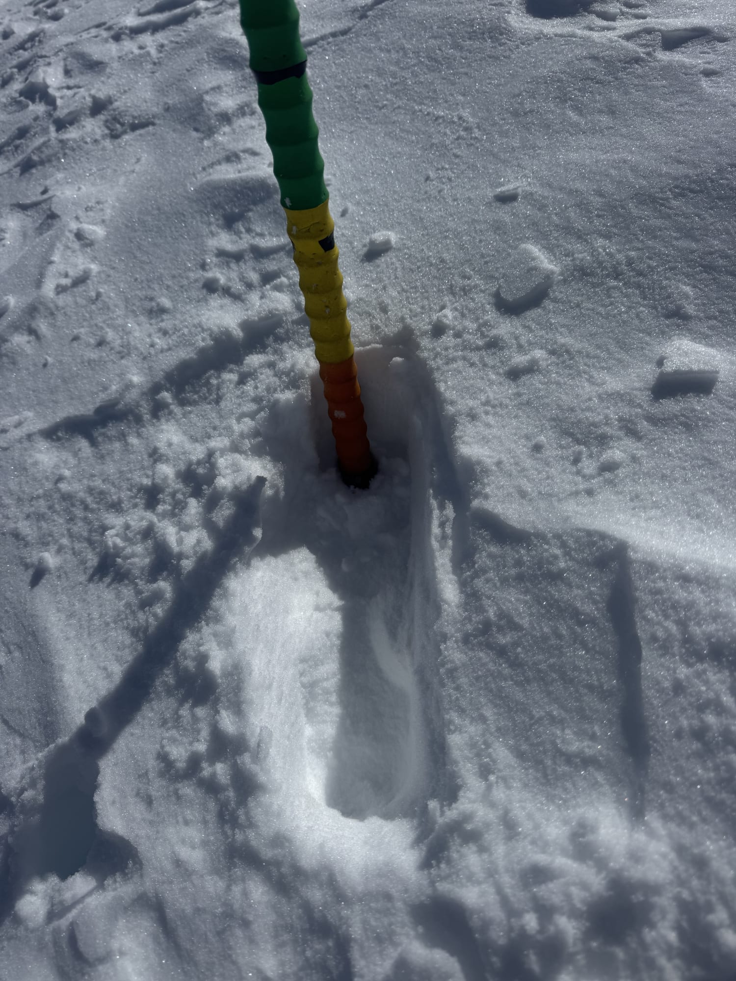 Observation photo