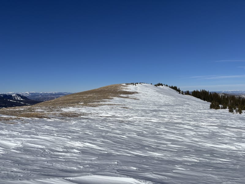 Observation photo 7
