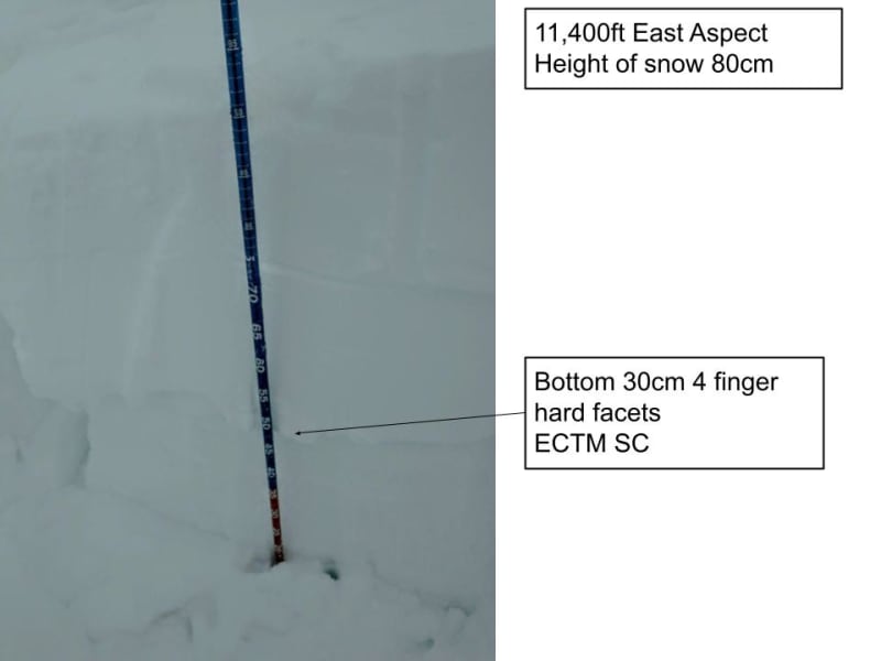 Observation photo 1