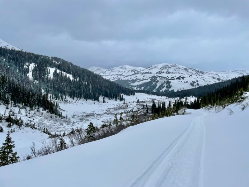 Observation photo 4