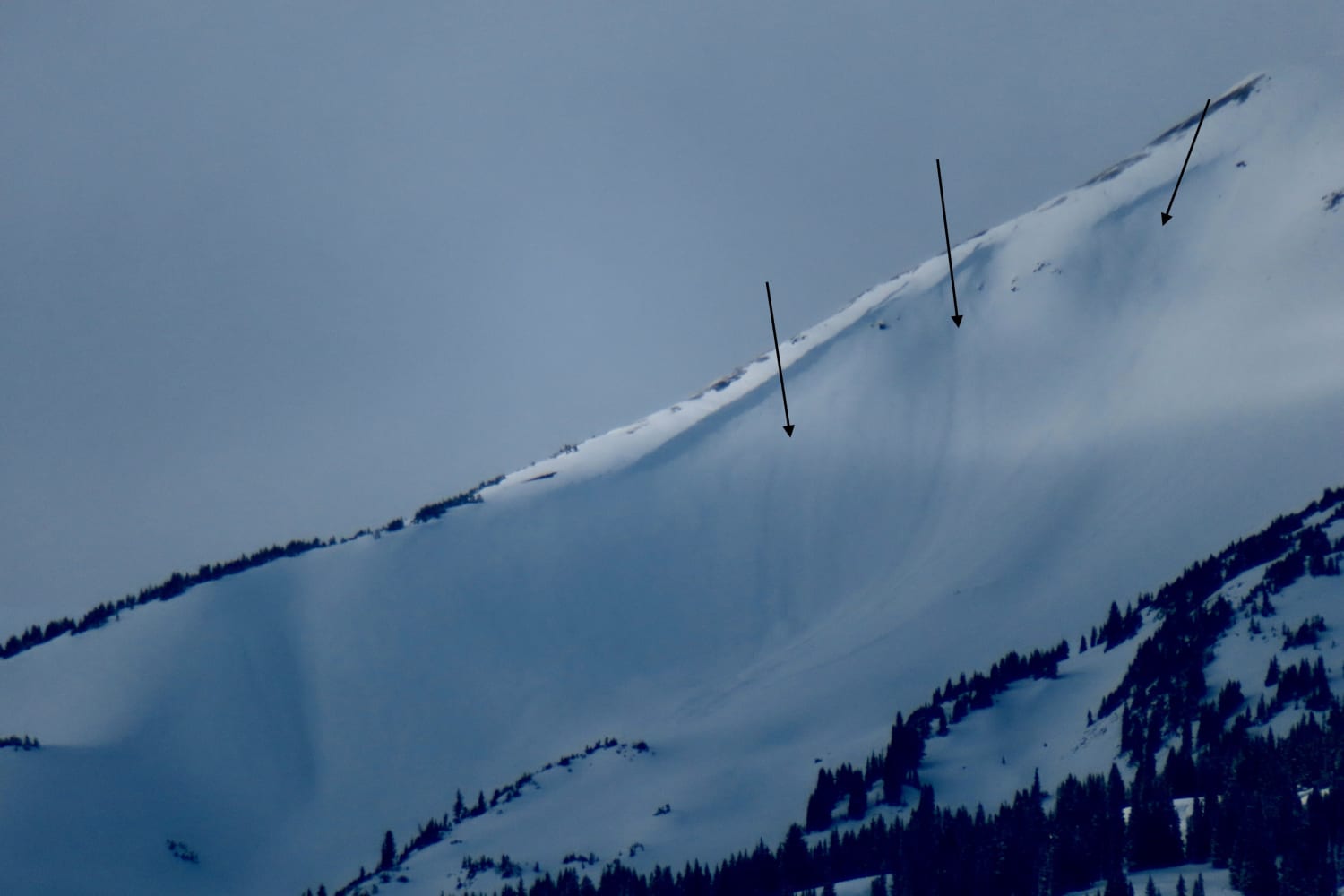 Observation photo