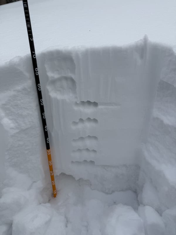 Observation photo 2