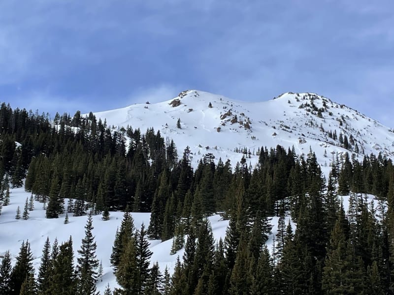Observation photo 1
