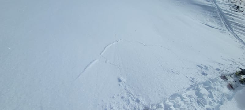 Observation photo 1