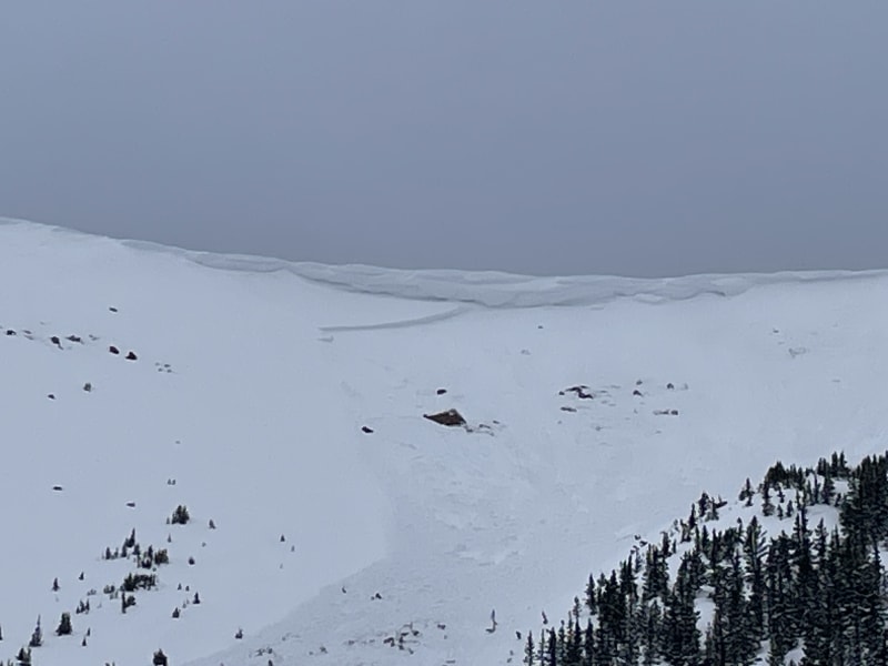 Observation photo 3