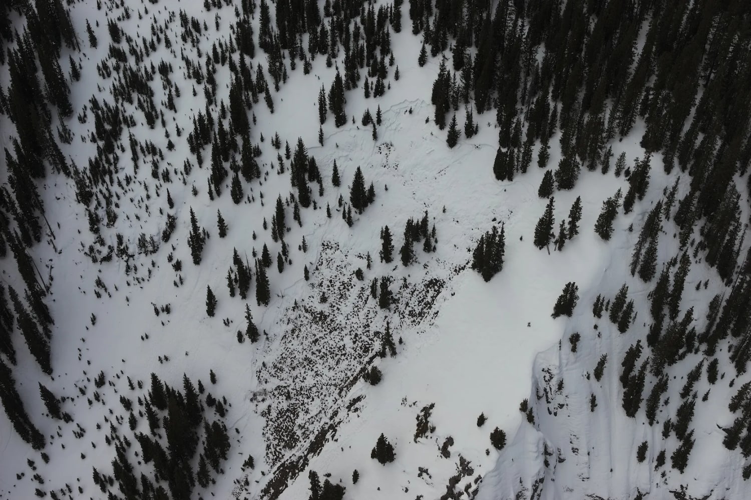 Observation photo