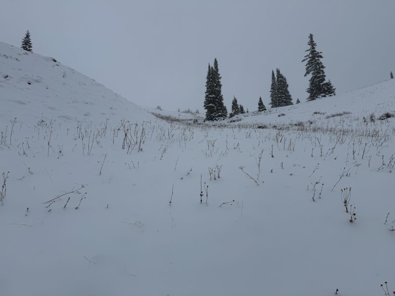Observation photo 2
