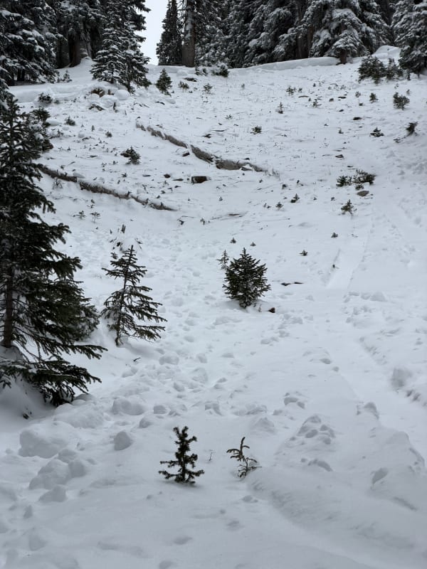 Observation photo 4