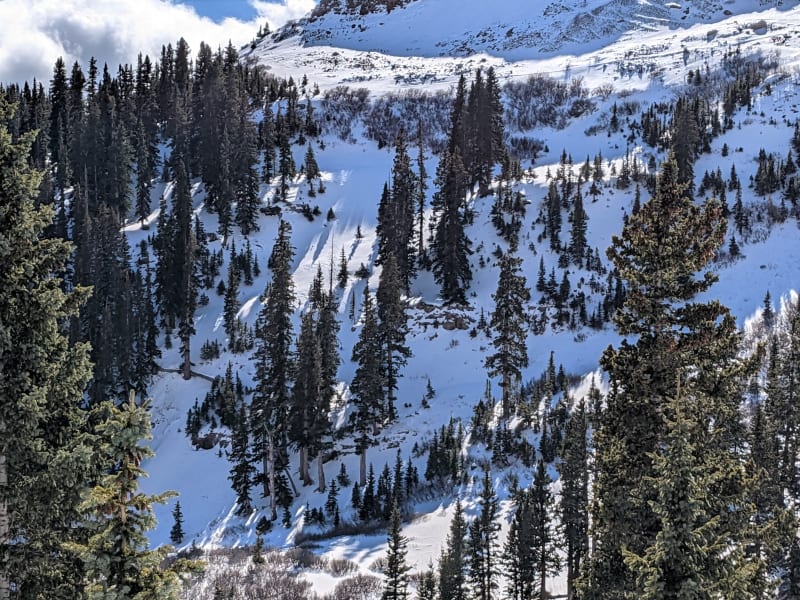Observation photo 6