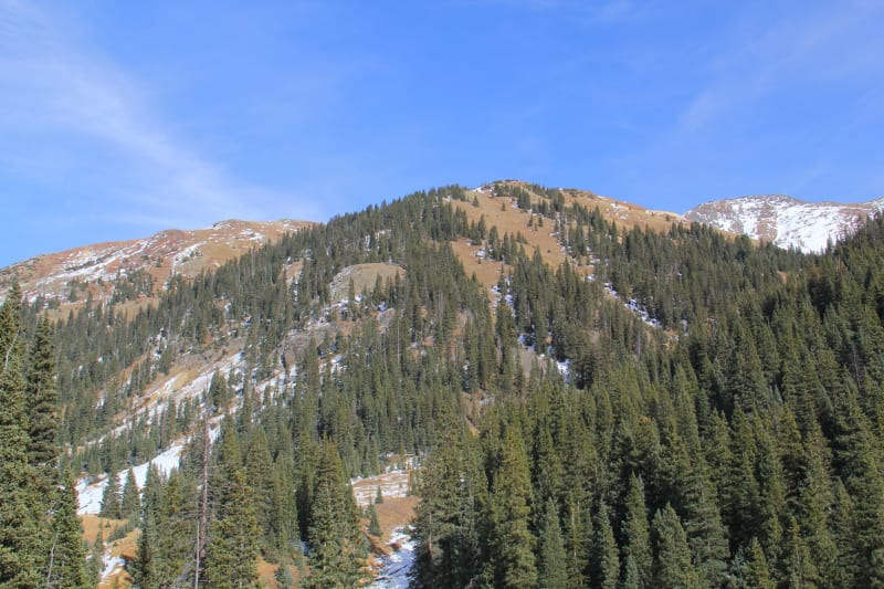 Observation photo 5