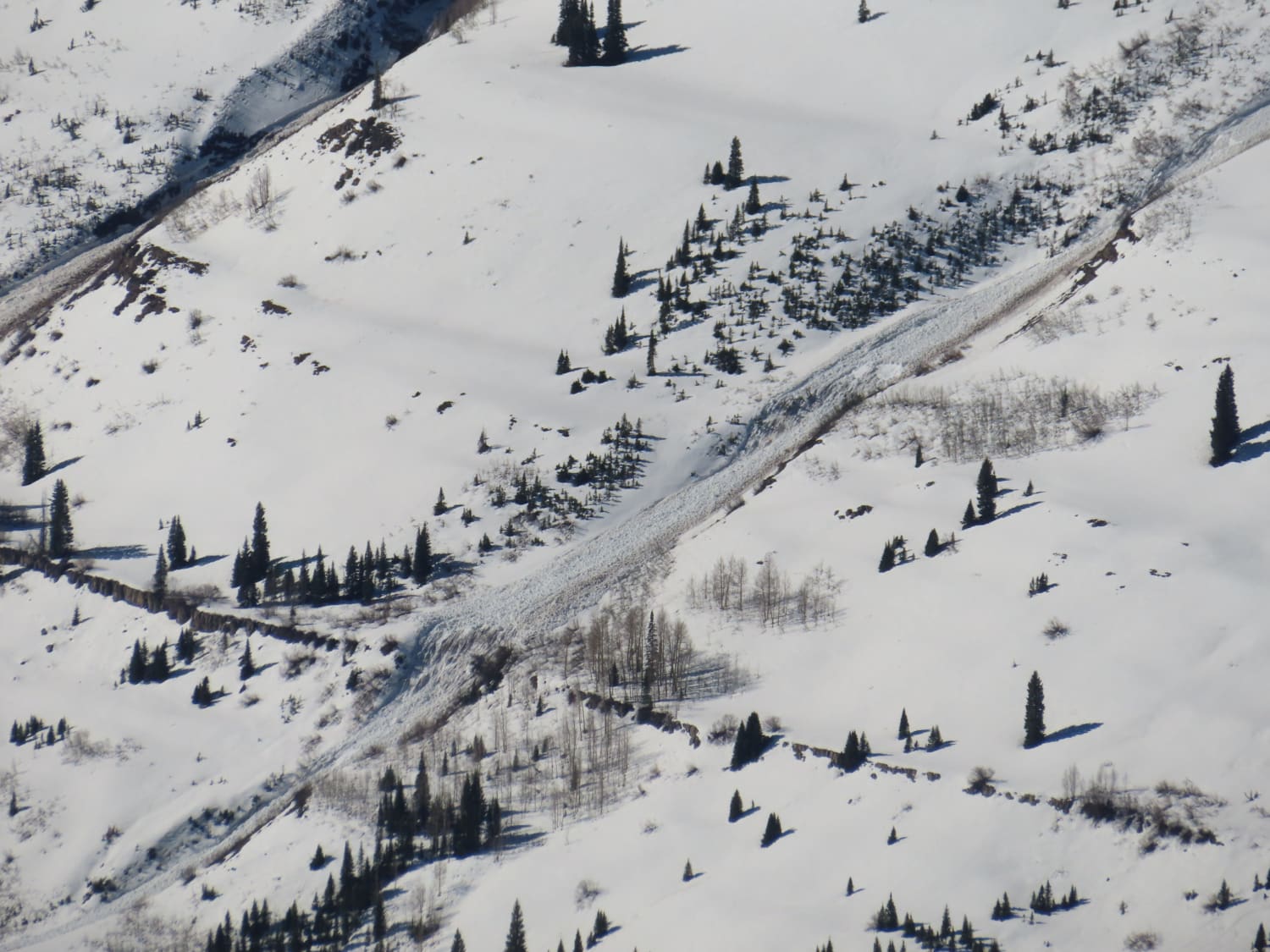 Observation photo