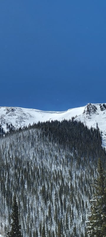 Observation photo 1