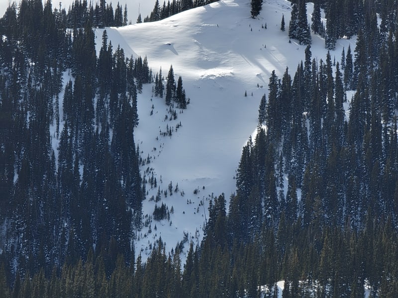 Observation photo 10