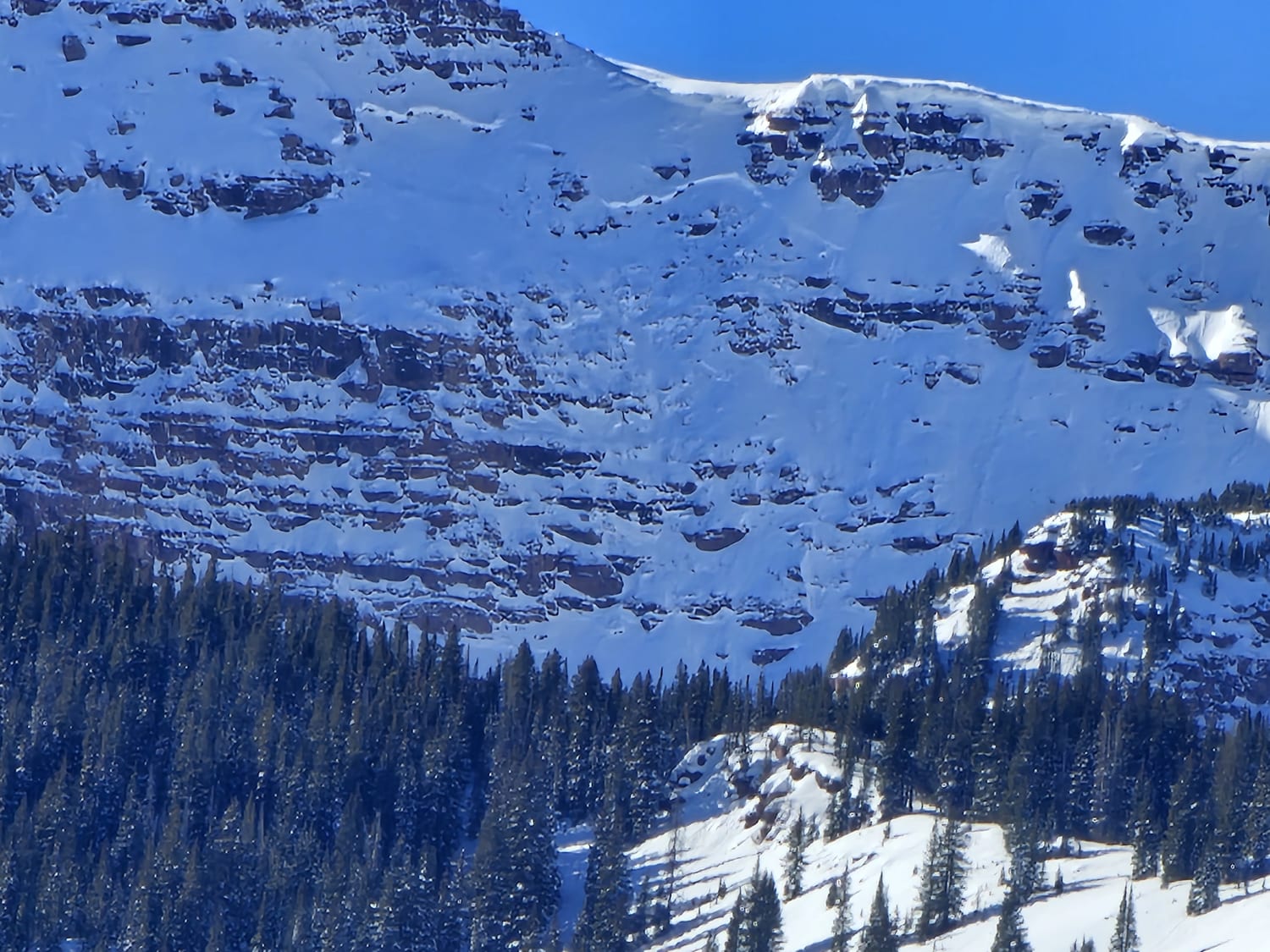 Observation photo