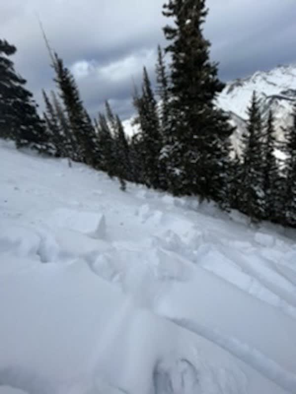 Observation photo 1