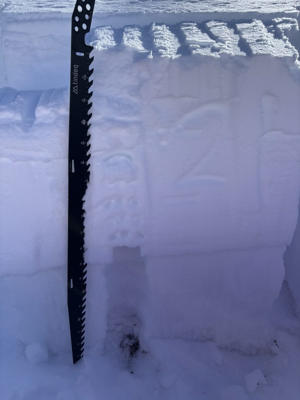 Observation photo 1