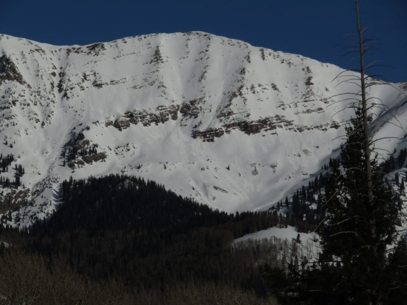 Observation photo 2