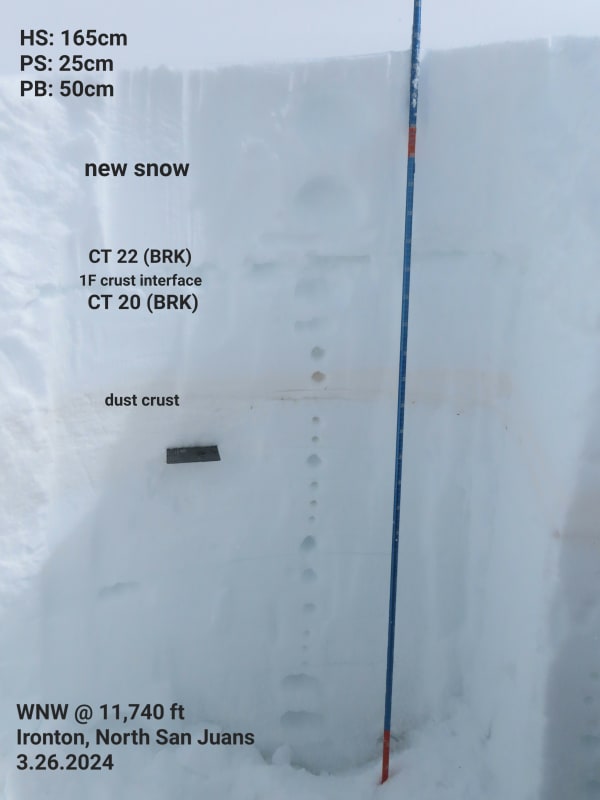 Observation photo 5