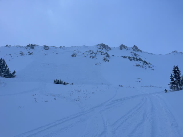 Observation photo 1
