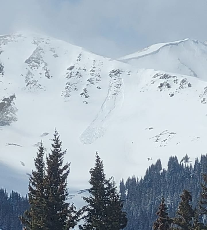 Observation photo 1
