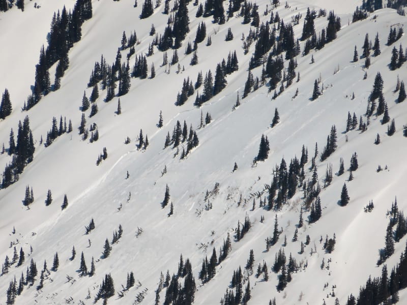 Observation photo 2