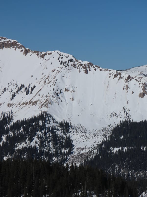 Observation photo 1
