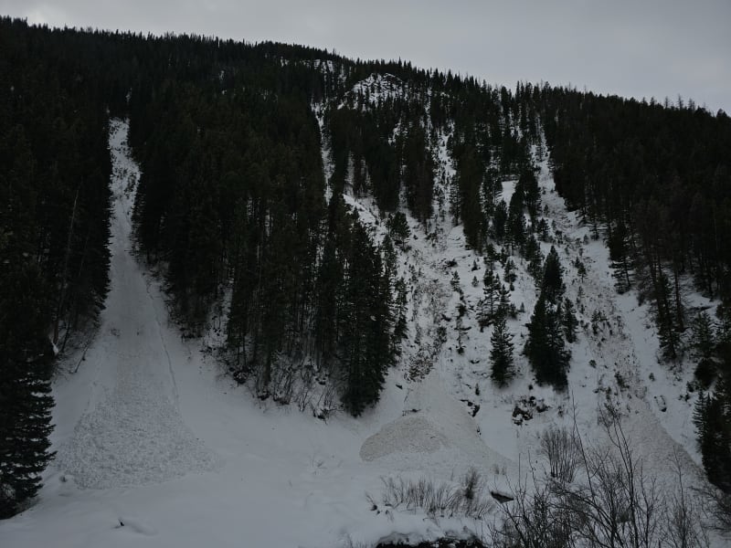 Observation photo 1