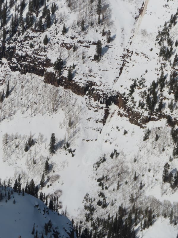 Observation photo 9