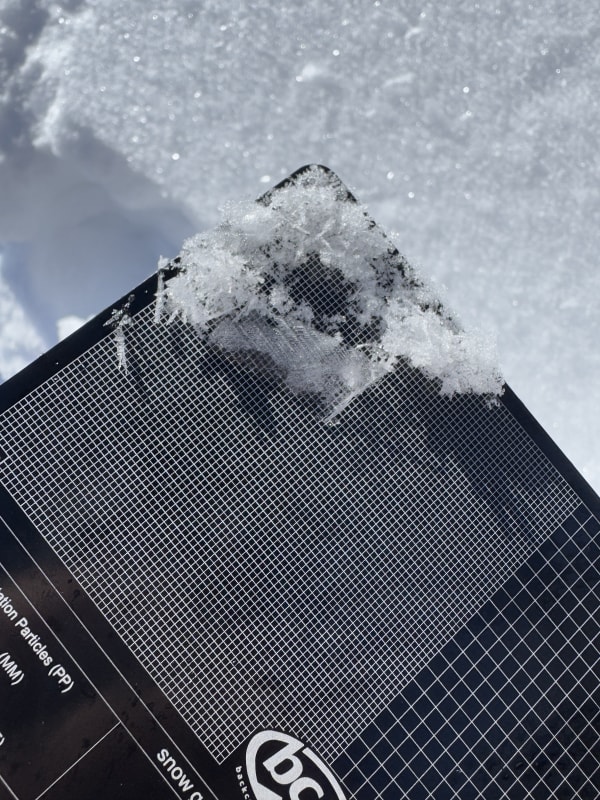 Observation photo 2
