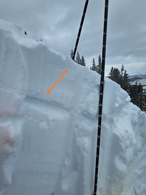 Observation photo 2