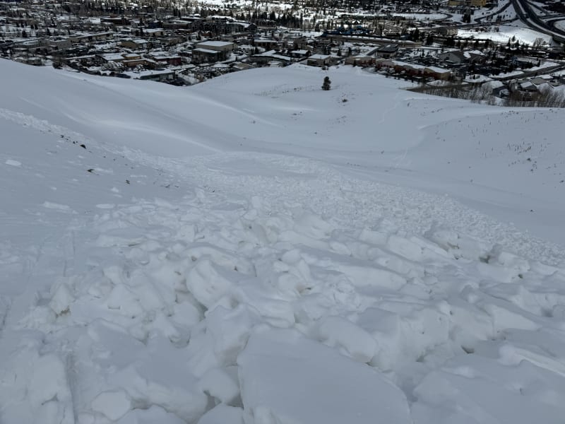 Observation photo 4
