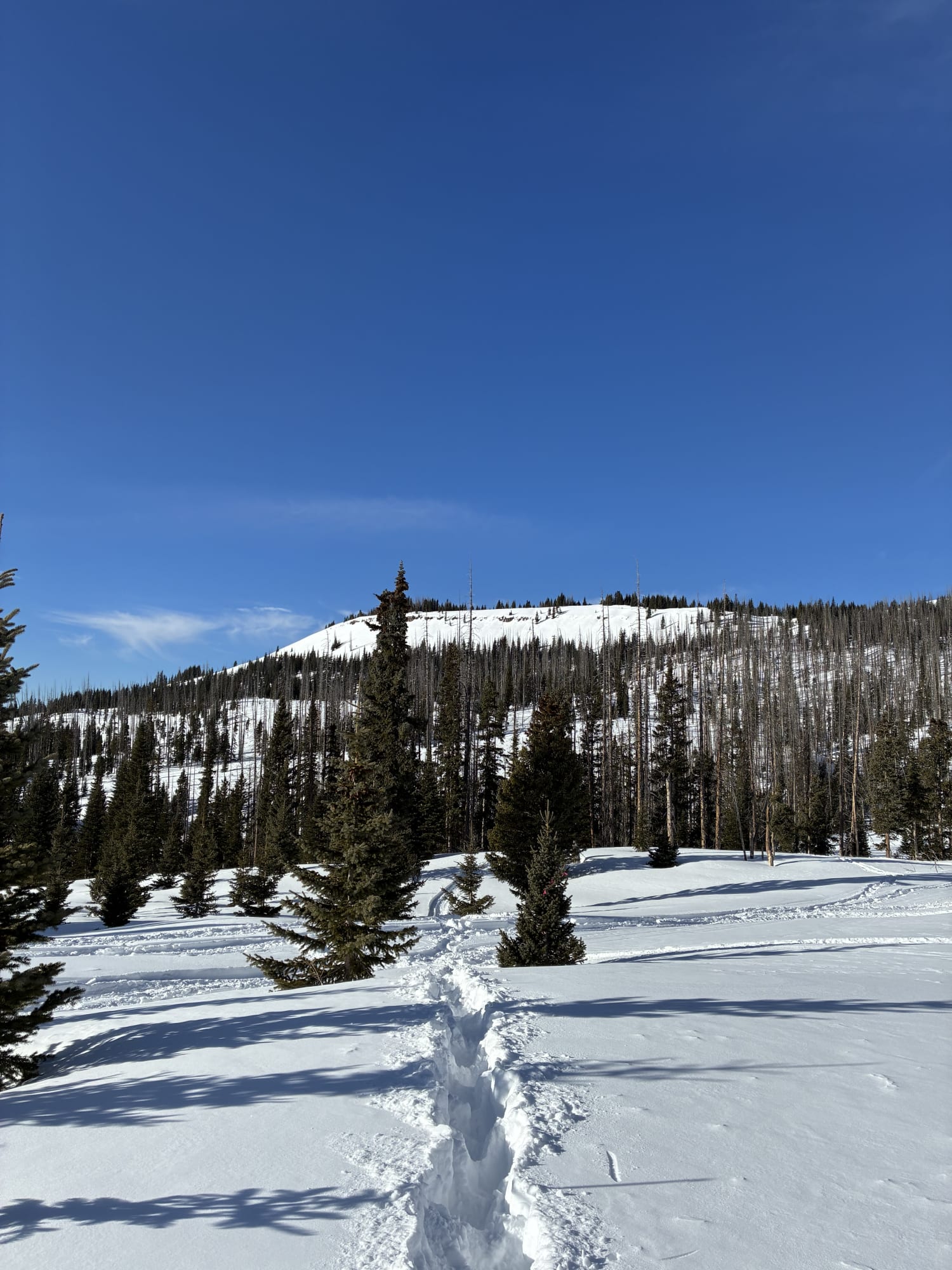 Observation photo