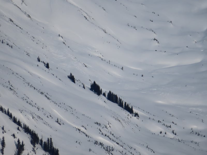 Observation photo 10
