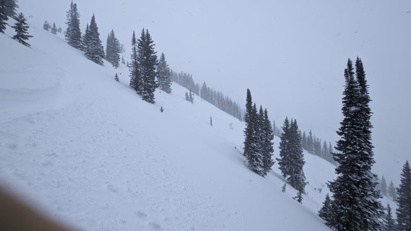 Observation photo 3