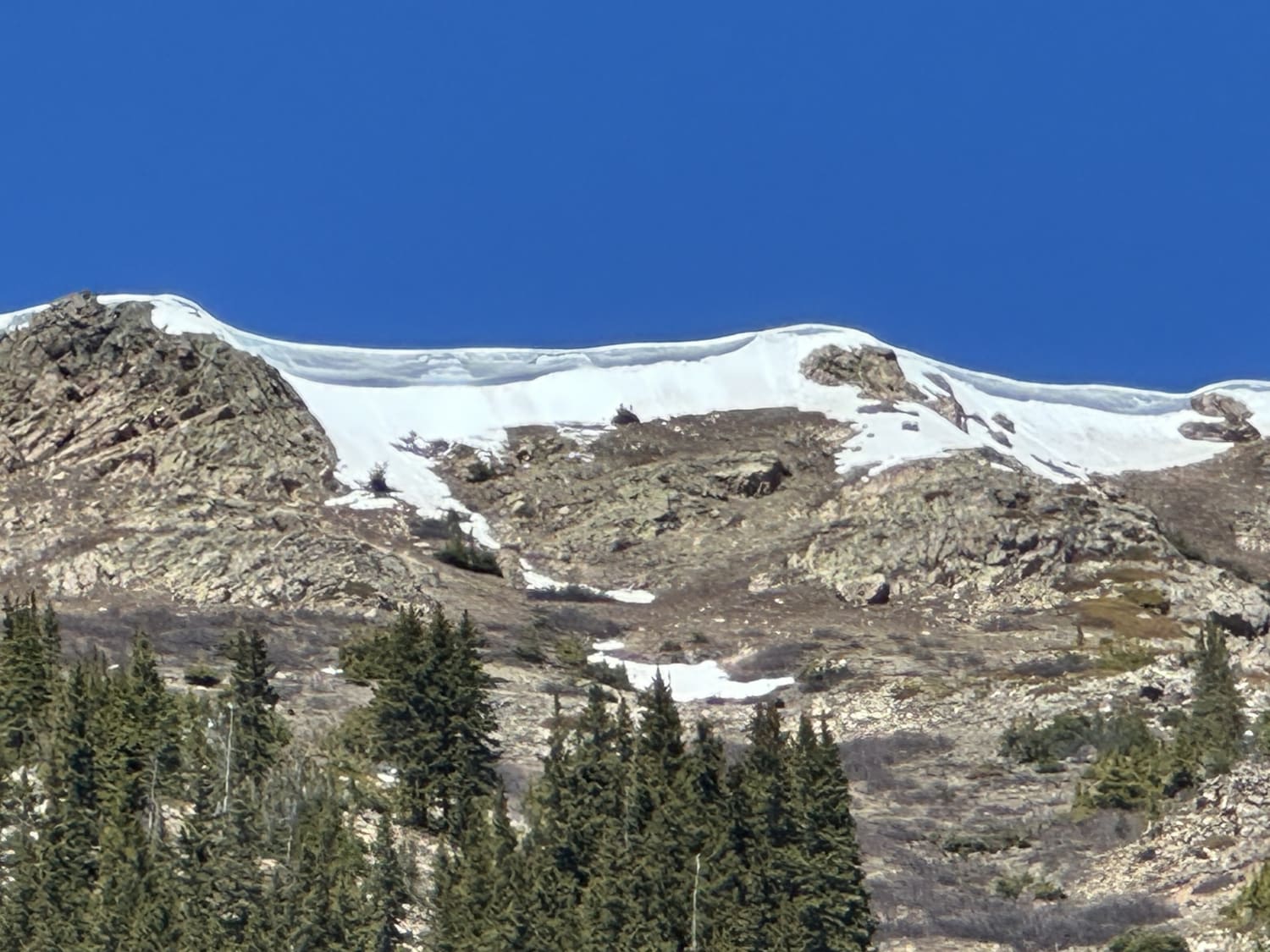 Observation photo