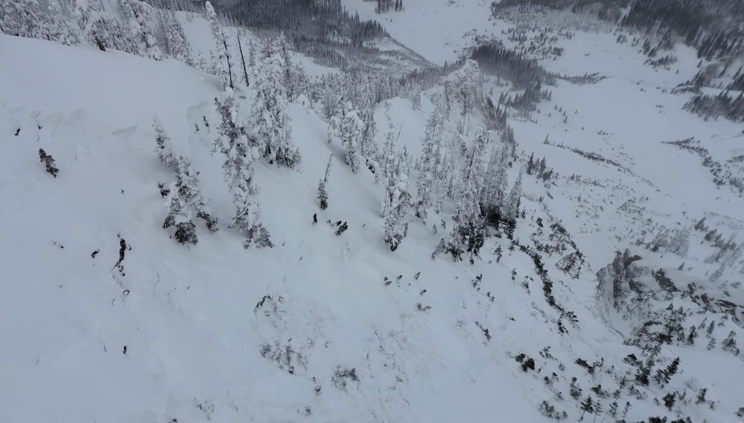 Observation photo